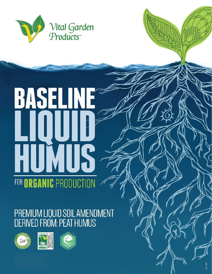 Vital Liquid Baseline Quart